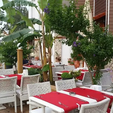 Hotel Dream 3*