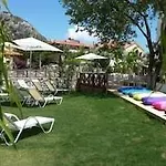 Dream 4* Turunç