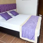 Dream Turunç