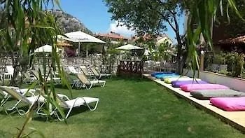 Dream 3* Турунч