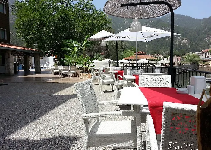 Dream トゥルンチュ