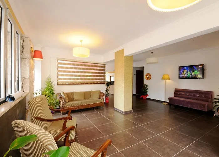 Dream トゥルンチュ