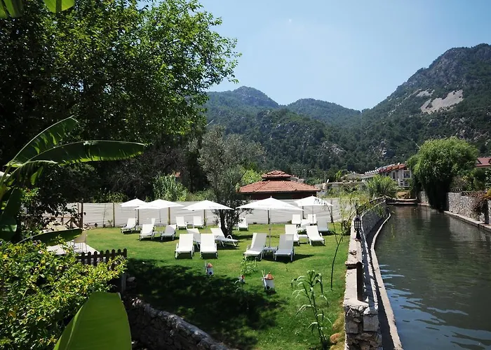 Dream トゥルンチュ